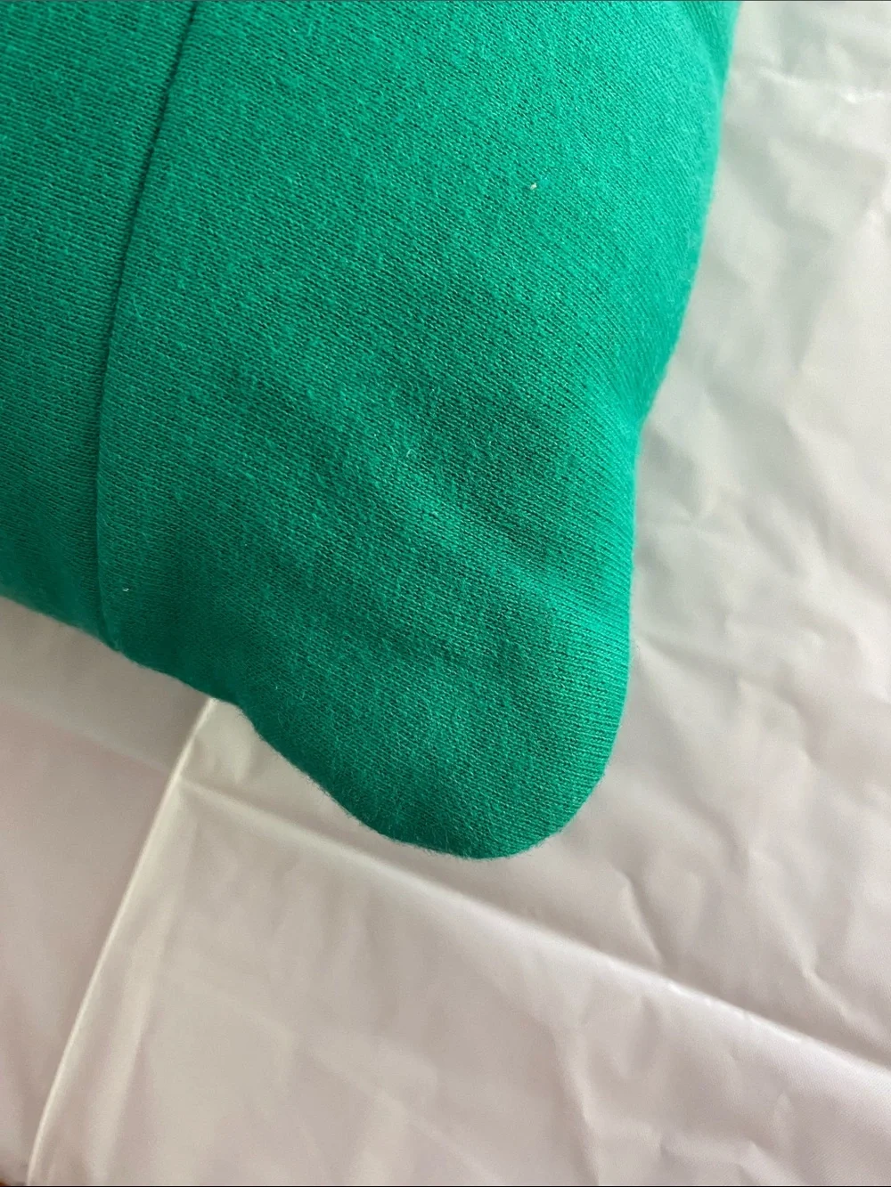 The Monster Fenway Boston Green Decorative Pillow - Unbranded